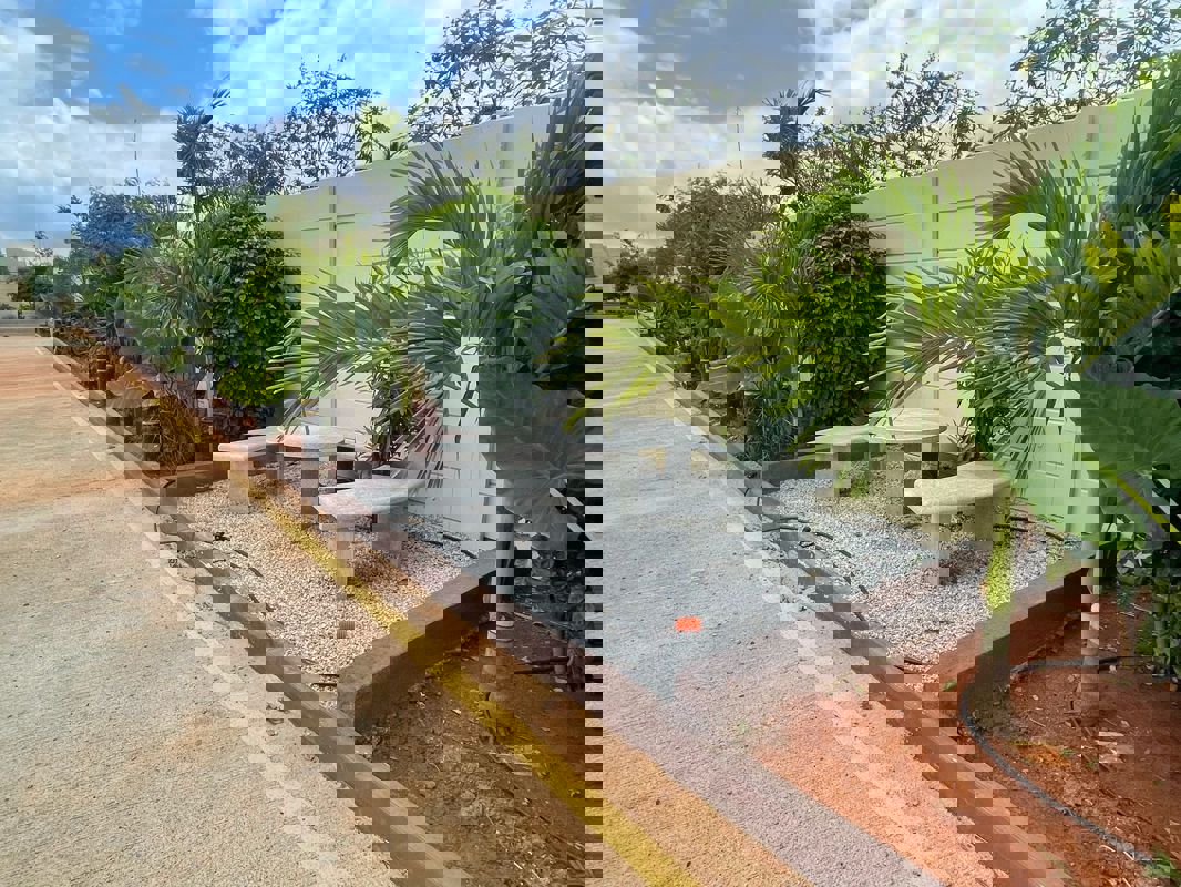 Plot For Sale in Jakkuru