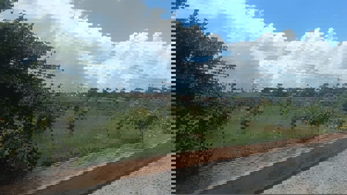 Plot For Sale in Chikkaballapur