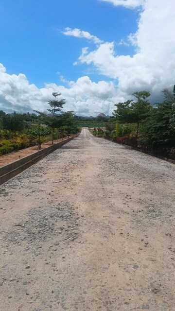 Plot Area in  Plot at Chikkaballapur – for Sale