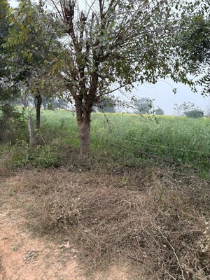 Plot Area in  Land at JDIA Dream City, Jewar – for Sale