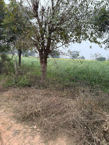 Plot Area in  Land at JDIA Dream City, Jewar – for Sale