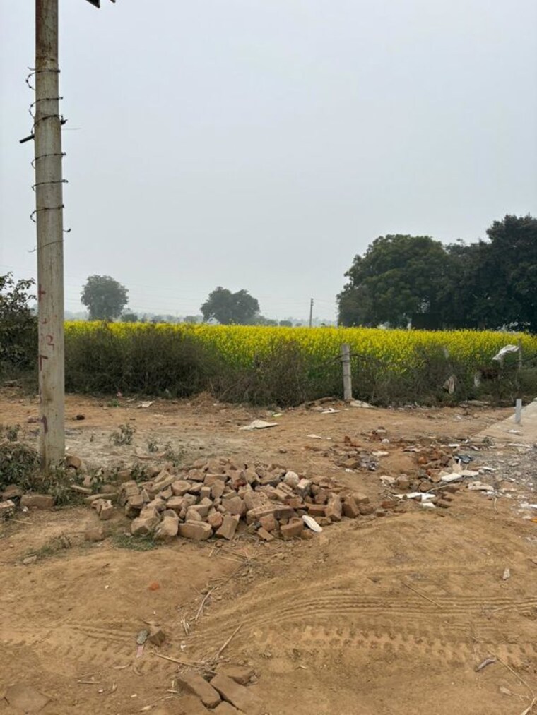 undefined, jdia-dream-city Commercial Land 3 Acre In Jewar Greater Noida 9758206