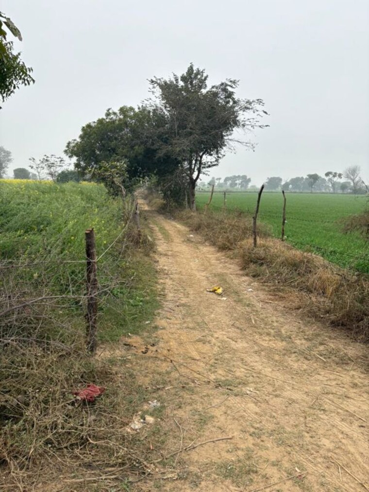 undefined, jdia-dream-city Commercial Land 3 Acre In Jewar Greater Noida 9758206