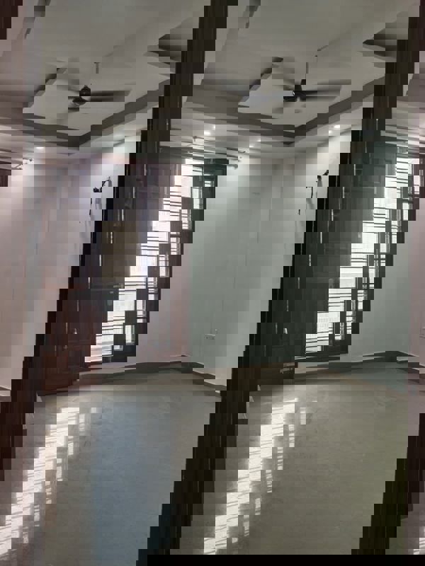 3 BHK + Pooja Room,Study Room Builder Floor For Rent in Ardee City