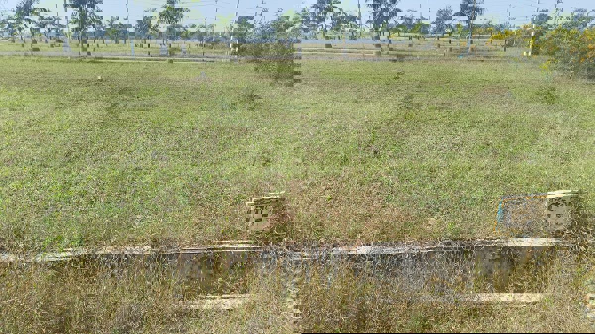 Plot For Sale in Mullur