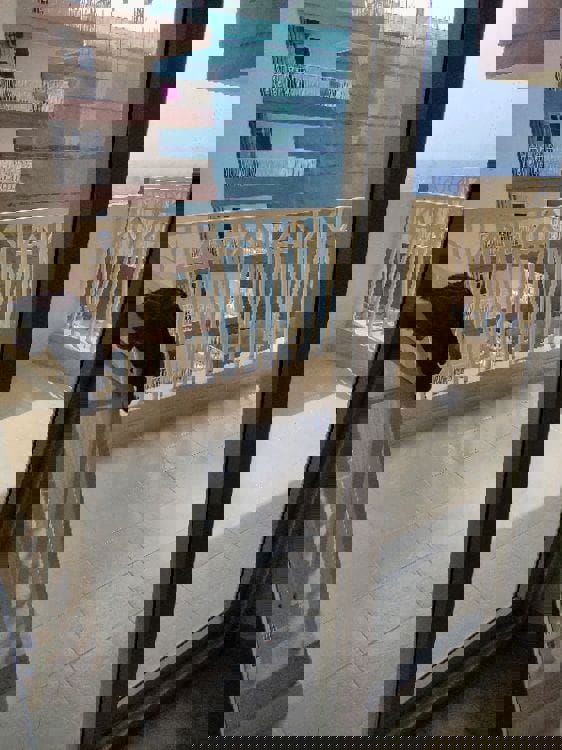 2 BHK Apartment For Sale in Gaur City 7th Avenue