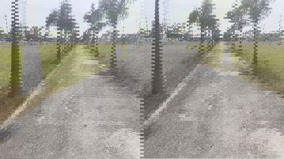 Plot For Sale in Mullur