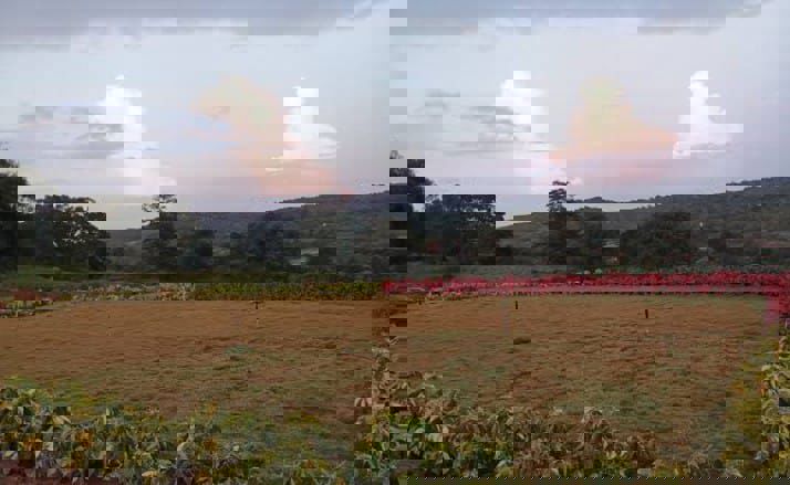 Plot For Sale in Jigani