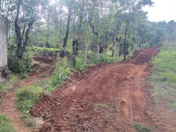 Plot Area in  Plot at Nigdi – for Sale