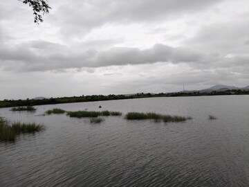 Swimming Pool in 3 BHK Villa at By The Lake, Shirwal – for Sale