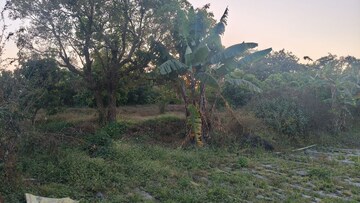  Plot – Garden View at Mahabaleshwar - for Sale