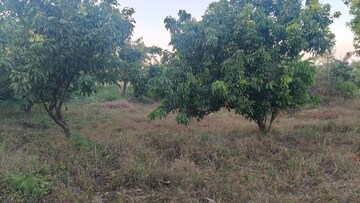 Plot Area in  Plot at Mahabaleshwar – for Sale