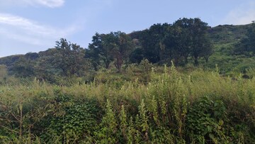 Plot Area in  Plot at Mahabaleshwar – for Sale