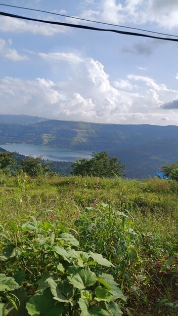  Plot For Sale in Mahabaleshwar