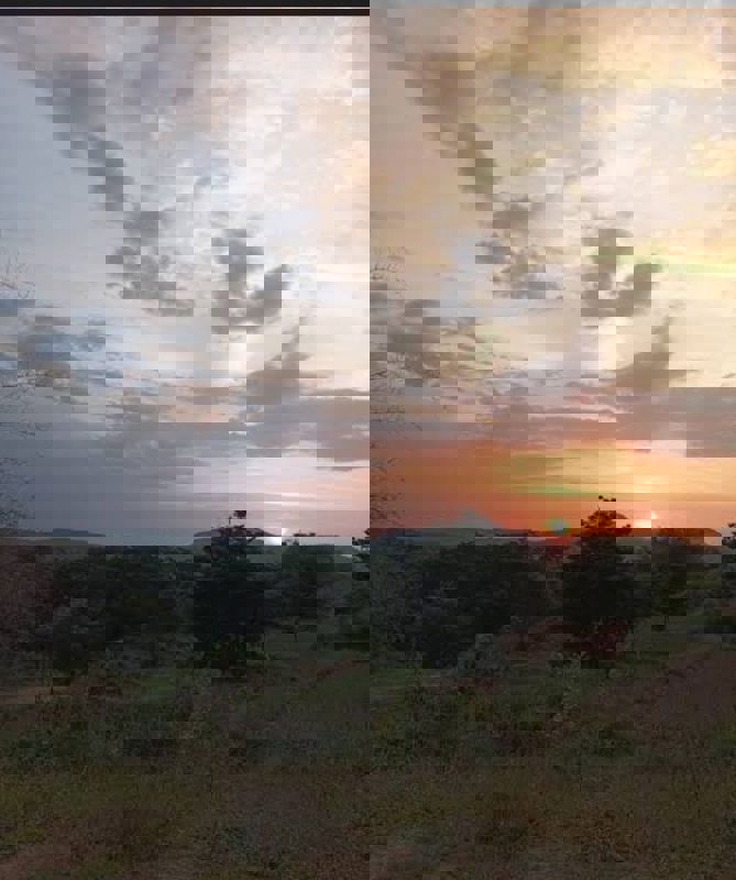 Plot For Sale in Gauribidanur