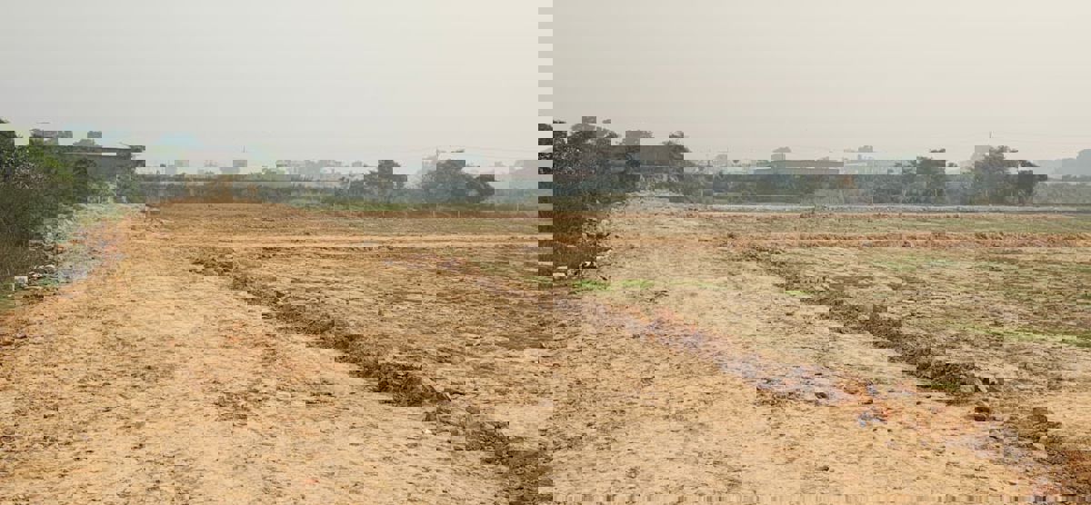 Plot For Sale in Parao