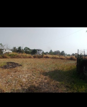 Plot Area in  Plot at Vashi – for Sale