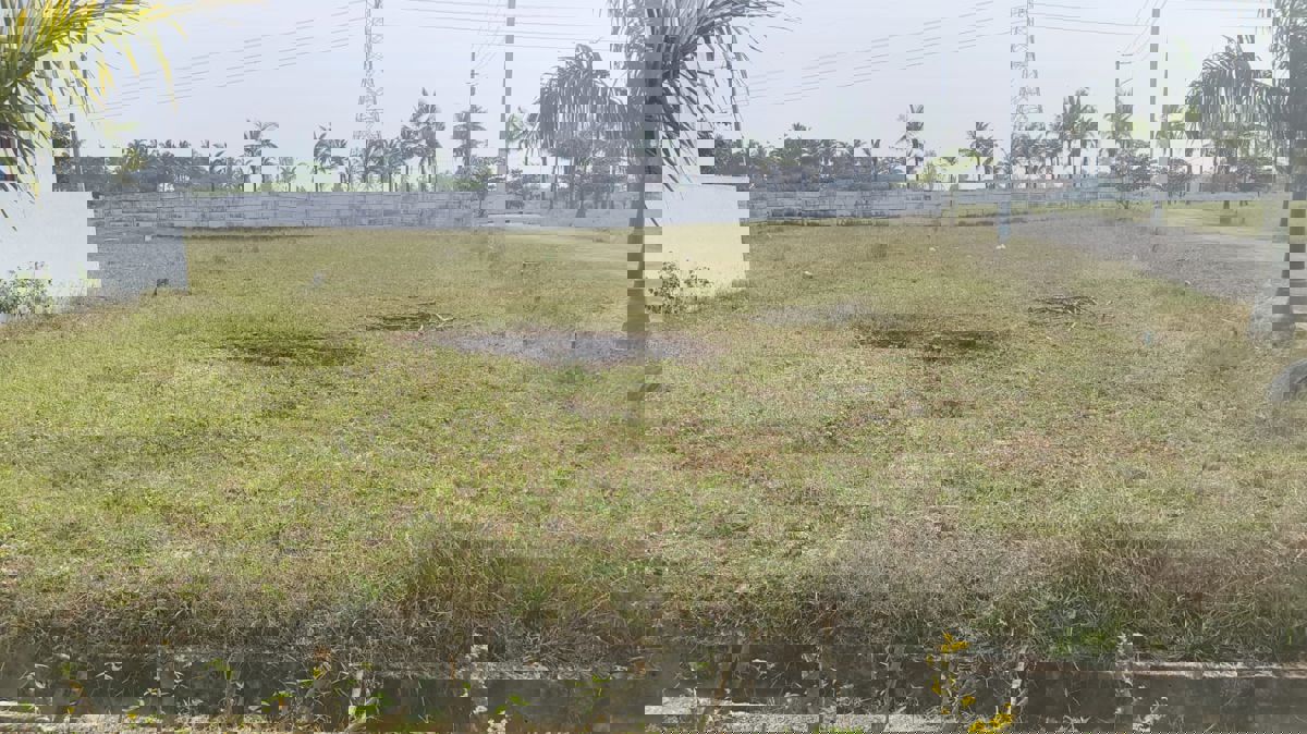 Plot For Sale in Mullur