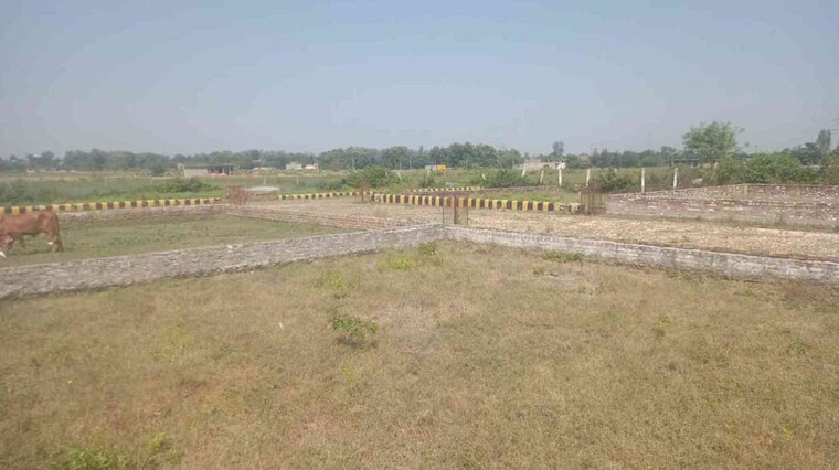 undefined, kisan path  750 Sq.Ft. Plot In Kisan Path Lucknow 9759332