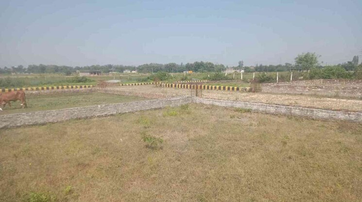undefined, kisan path  755 Sq.Ft. Plot In Kisan Path Lucknow 9759374