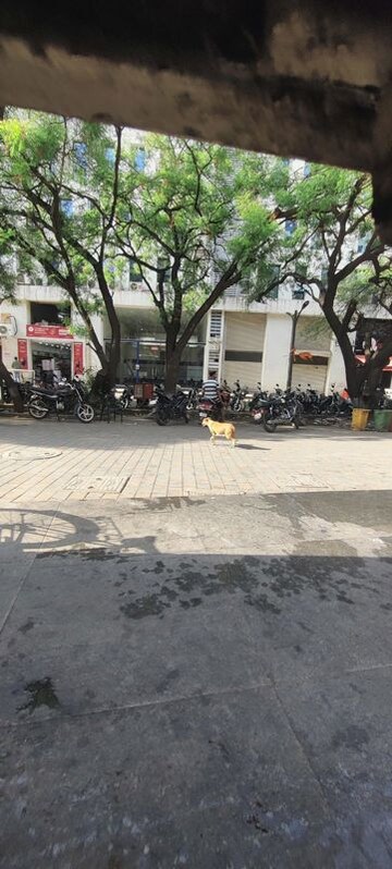  Shop – Exterior View View at Kolte Patil Downtown Xenia, Kharadi - for Rent