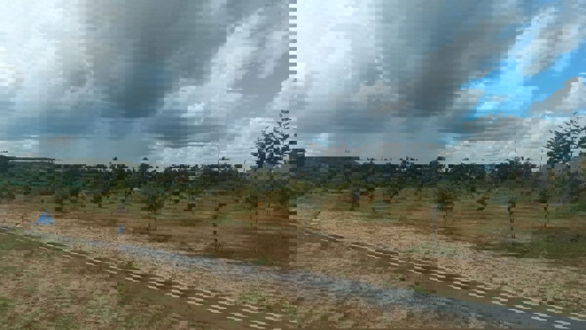 Plot For Sale in Chikkaballapur