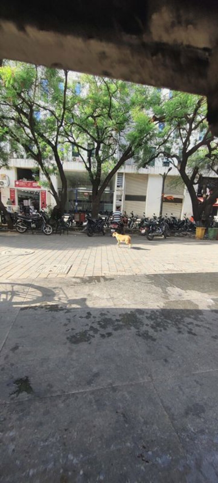 Exterior View, kolte-patil-xenia Commercial Shop 600 Sq.Ft. In Kharadi Pune 9696665