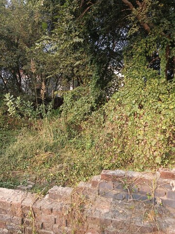 Plot Area in  Plot at Gomti Nagar – for Sale