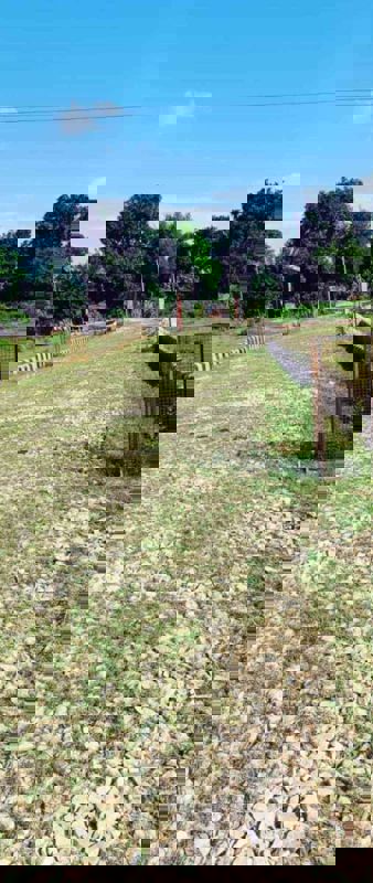 Plot For Sale in Gomti Nagar