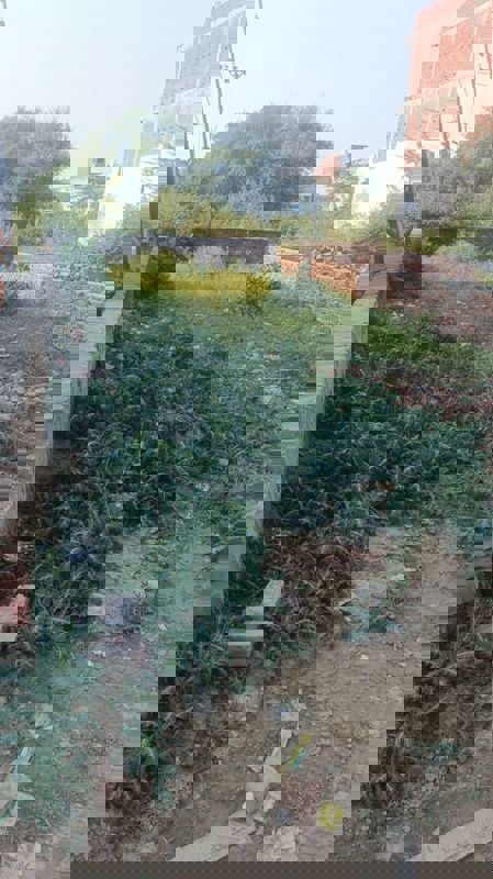 Plot For Sale in Gomti Nagar