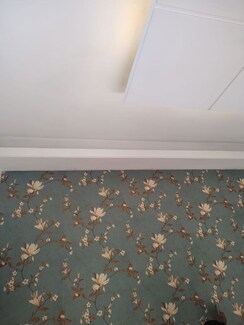 3 BHK + Pooja Room Builder Floor For Sale in Dhakoli