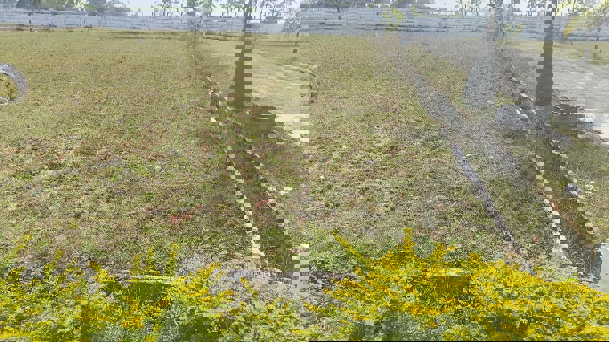 Plot For Sale in Mullur