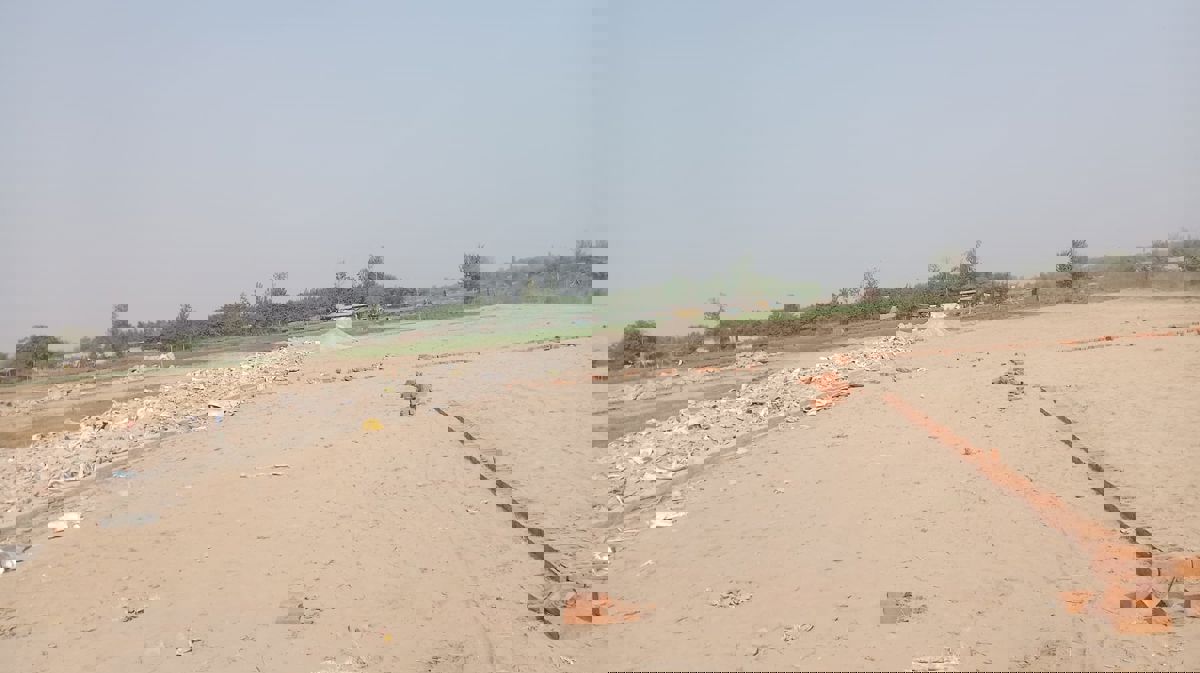 Plot For Sale in Sector 141