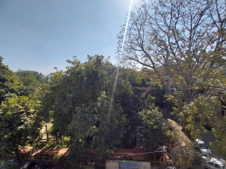 Garden, greater kailash 3 Bedroom 250 Sq.Yd. Builder Floor In Greater Kailash Delhi 9760655