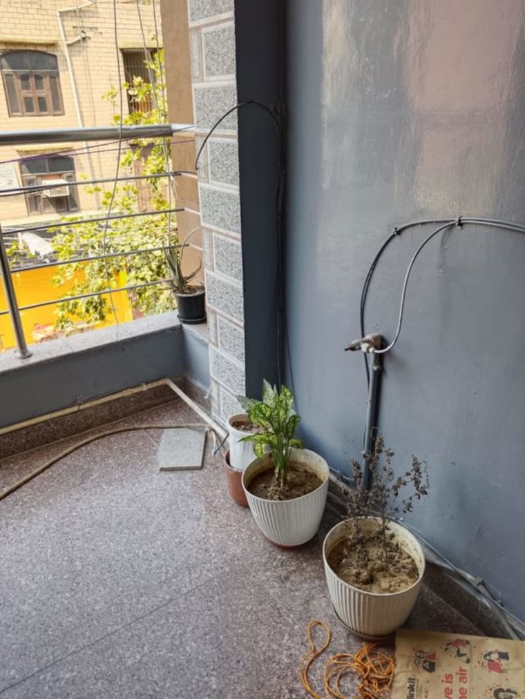 Balcony, sector 24 1 Bedroom 518 Sq.Ft. Builder Floor In Sector 24 Gurgaon 9760594