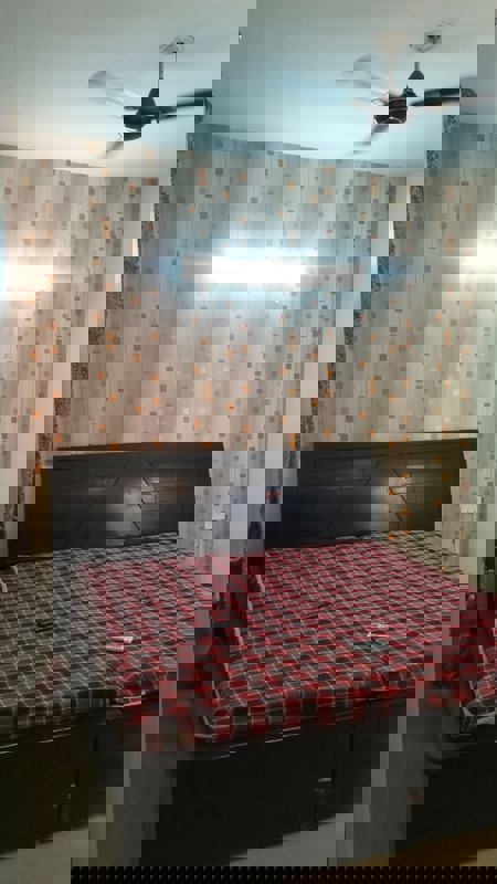 1 BHK Apartment For Rent in NK Sharma Savitry Greens