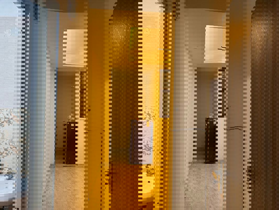 1 BHK Apartment For Rent in Saket