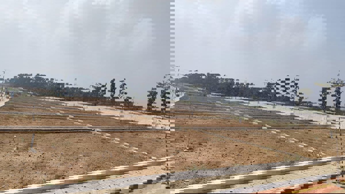 Plot For Sale in Hoskote