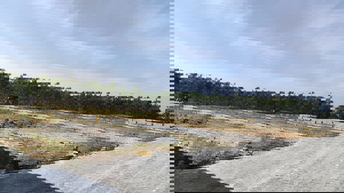 Plot For Sale in Shankarpur