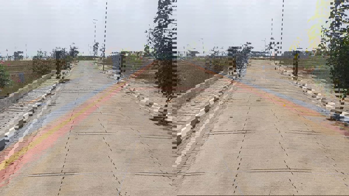 Plot For Sale in Harohalli