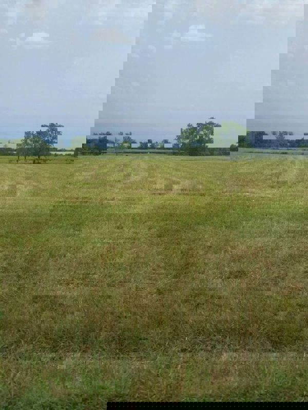 Plot For Sale in Mullanpur