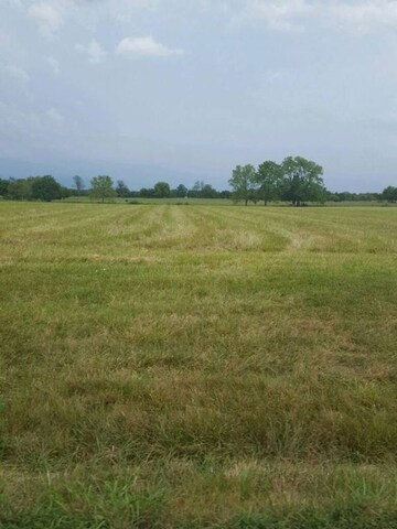  Plot For Sale in Mullanpur