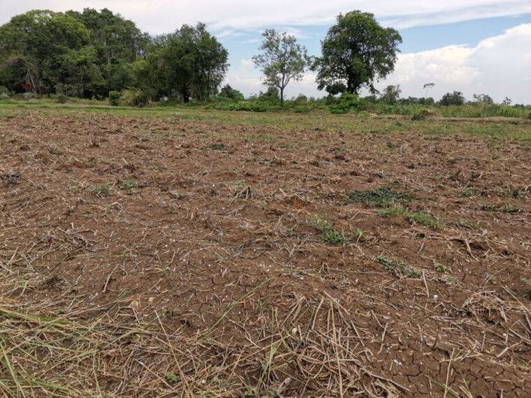 undefined, mullanpur  2969 Sq.Ft. Plot In Mullanpur Mohali 9762160