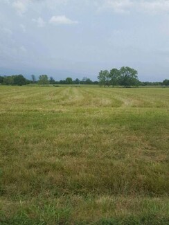 Plot For Sale in Mullanpur