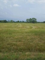 2994 Sq.Ft. Plot in Mullanpur