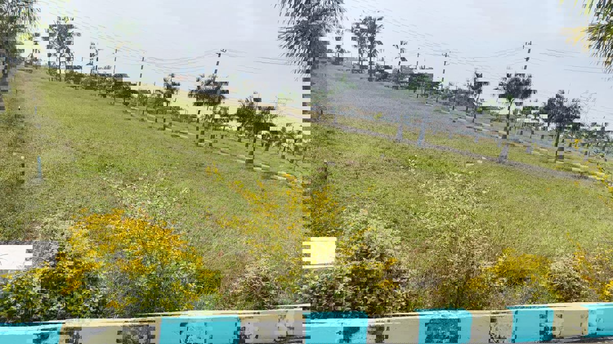 Plot For Sale in VR Mega Township