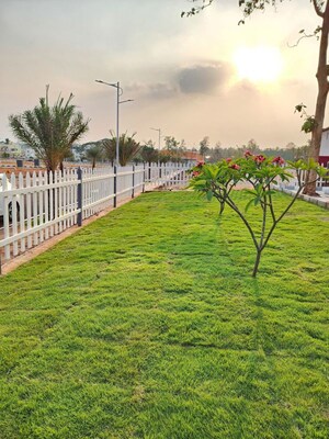  Plot – Exterior View View at Devanahalli - for Sale