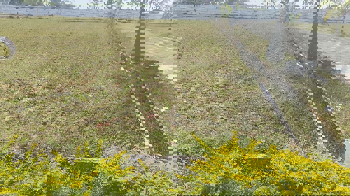 Plot For Sale in Jigani