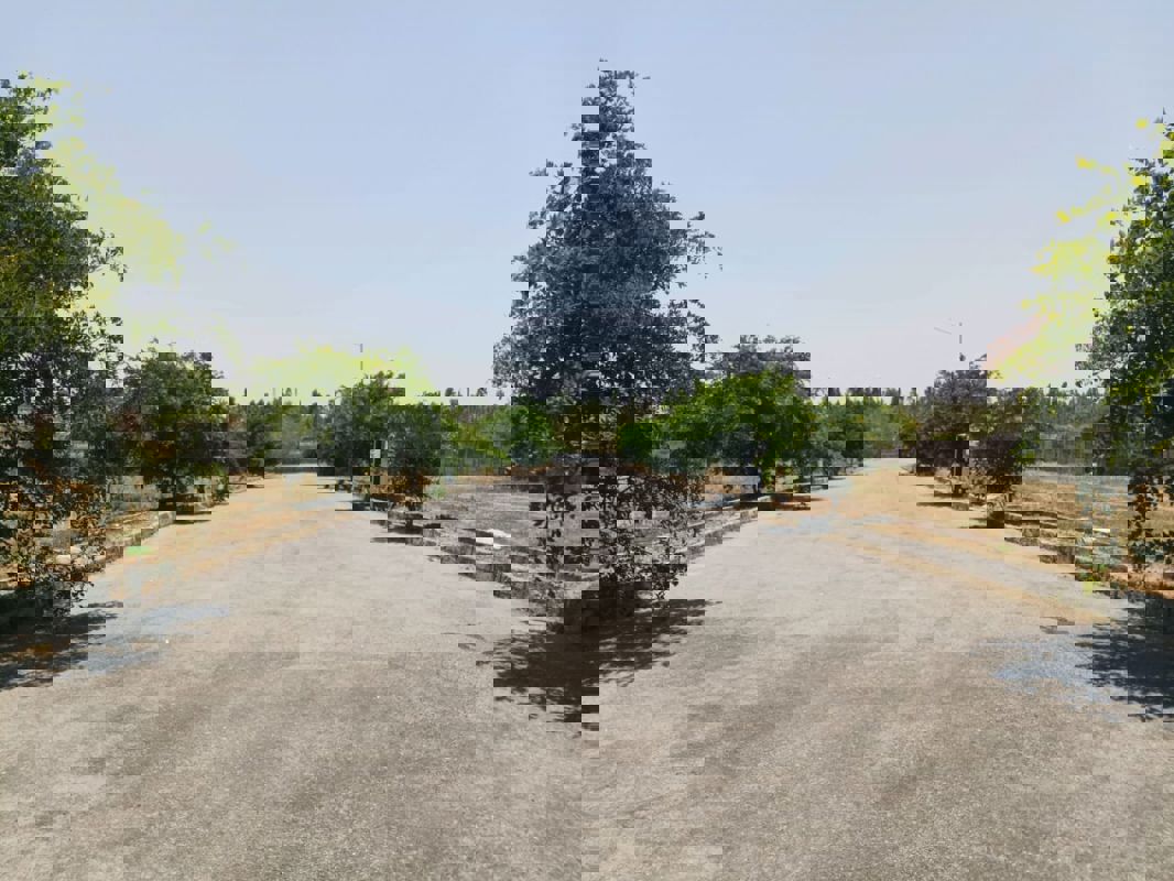 Plot For Sale in Chandapura