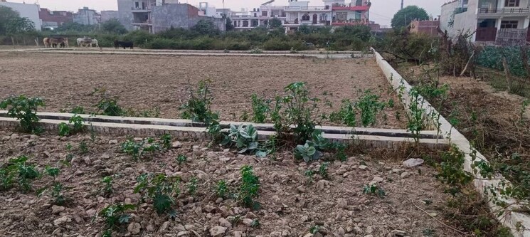 undefined, jankipuram  1000 Sq.Ft. Plot In Jankipuram Lucknow 9763373